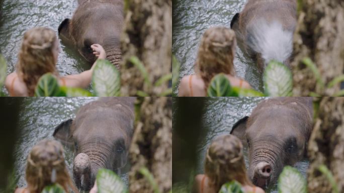 一个女人在动物园里和大象玩耍，在热带森林保护区喷水，享受异国情调的假期