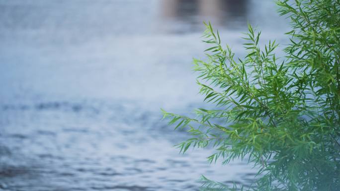 北京永定河台风洪水泄洪之后1