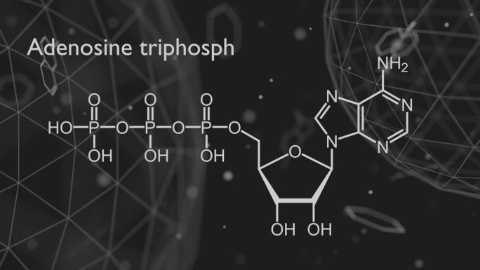 三磷酸腺苷或ATP分子，是细胞内的能量传递，是RNA合成所必需的。结构化学式