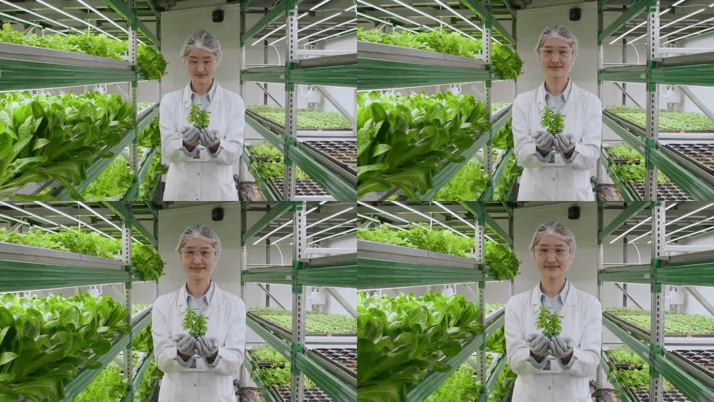 女科学家手里拿着小植物