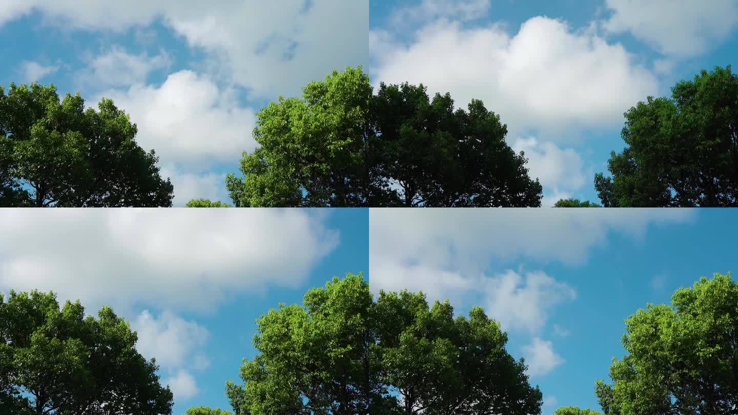 蓝天白云绿树延时摄影云朵移动梦幻唯美乡村