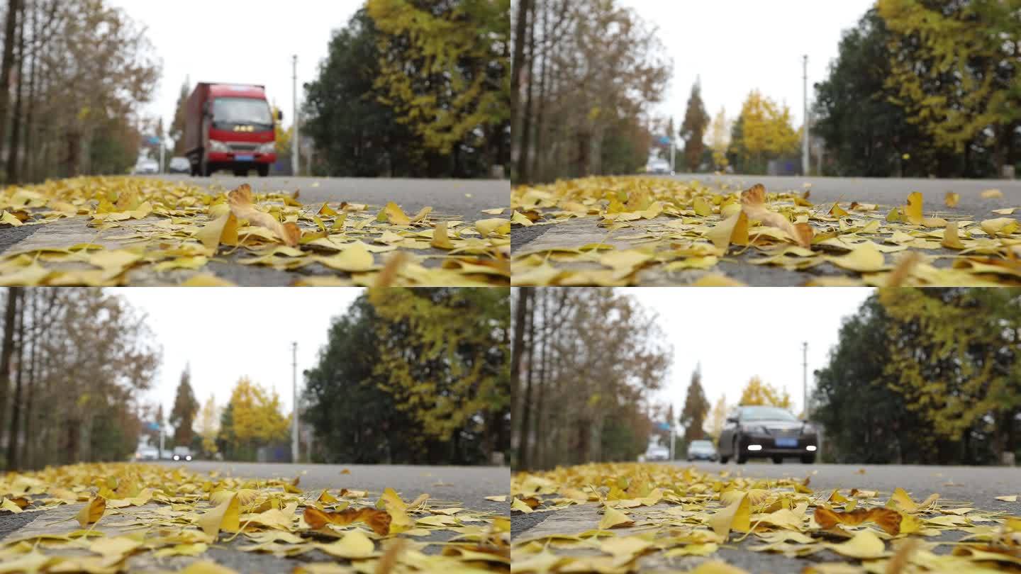W四川成都白天公汽车经过卷起地上的银杏叶