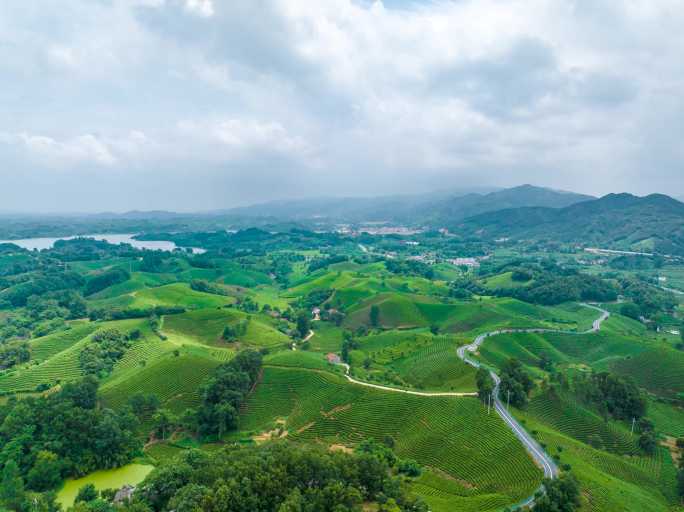 浉河港茶山大景航拍信阳茶山大范围航拍延时