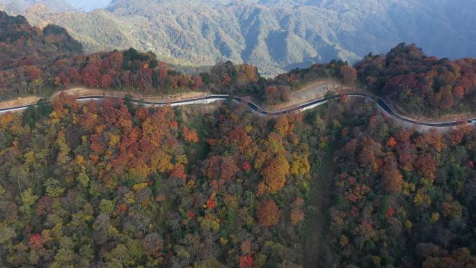 广元市光头山红叶