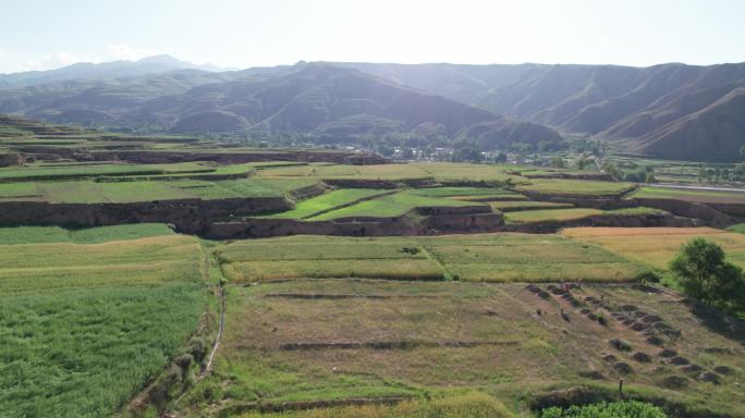 航拍西北农村梯田景象