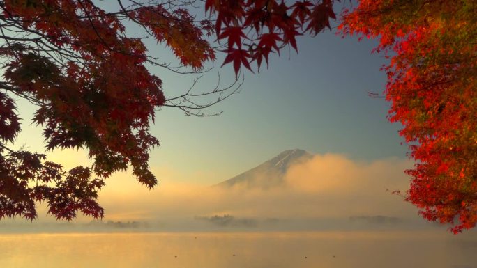 晨雾中的川口湖，晨曦中的富士山和秋叶