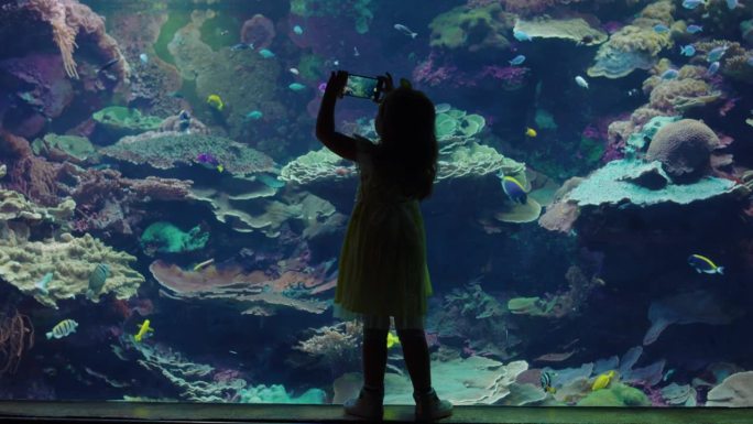 小女孩在水族馆里用智能手机拍摄彩色鱼和海洋动物在鱼缸里游泳的照片，好奇的孩子在海洋馆珊瑚礁栖息地观看