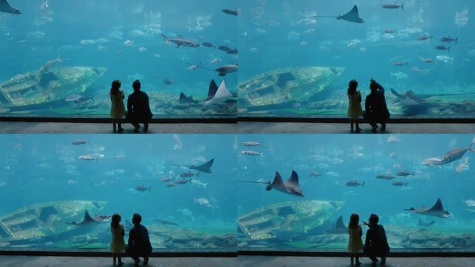 爸爸和女儿在水族馆里看着美丽的鱼在鱼缸里游泳，小女孩好奇地看着海洋动物，和爸爸在水族馆里开心地学习海