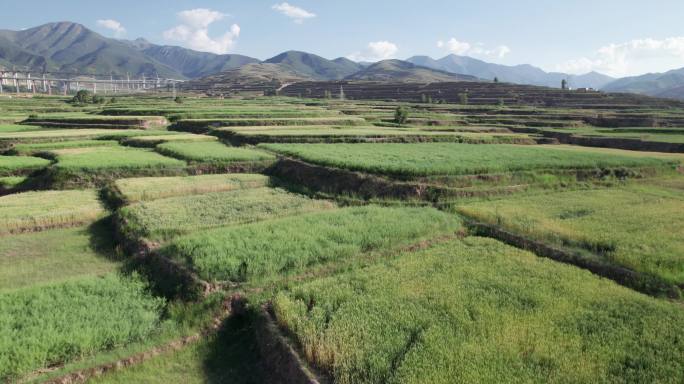 航拍西北农村梯田景象