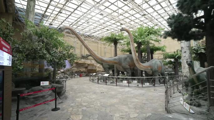 自然博物馆 恐龙模型-SC0070