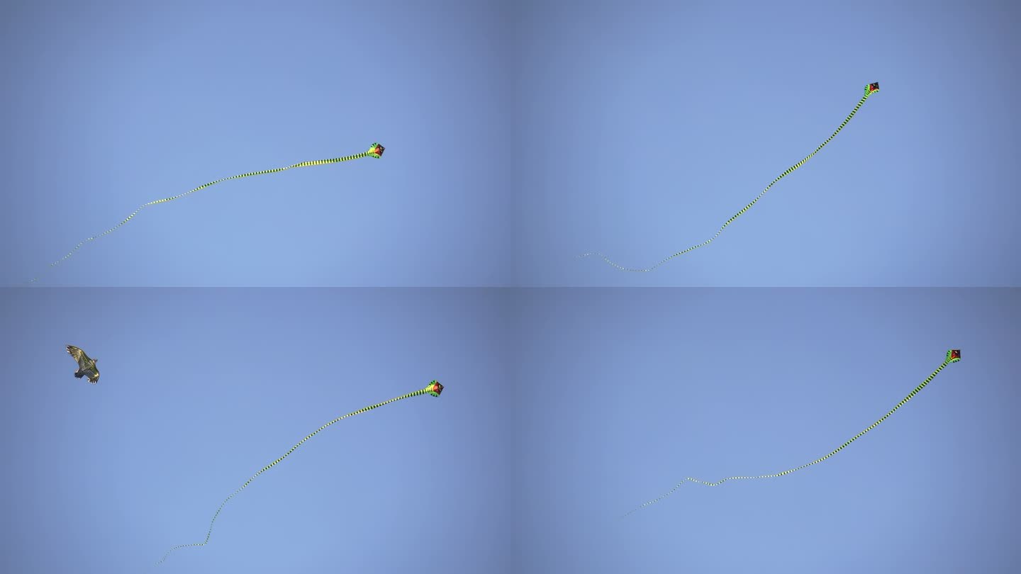 黄貂鱼风筝在天空中飞翔