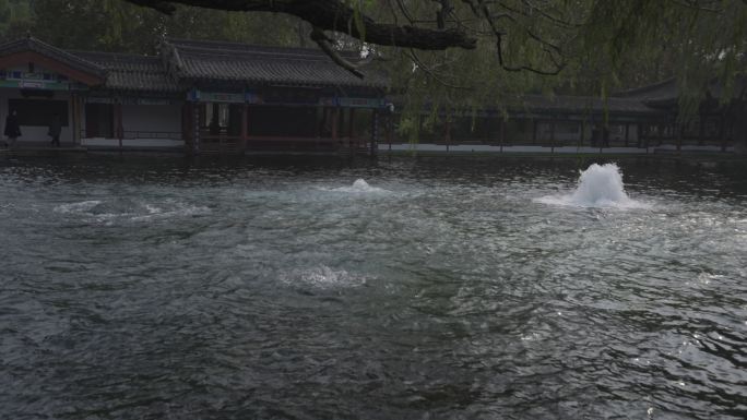 济南百脉泉泉群梅花泉