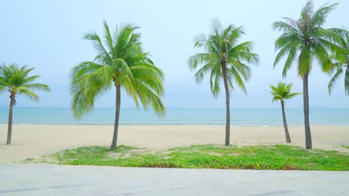 阴天海边椰树沙滩 海滨公园 海南三亚