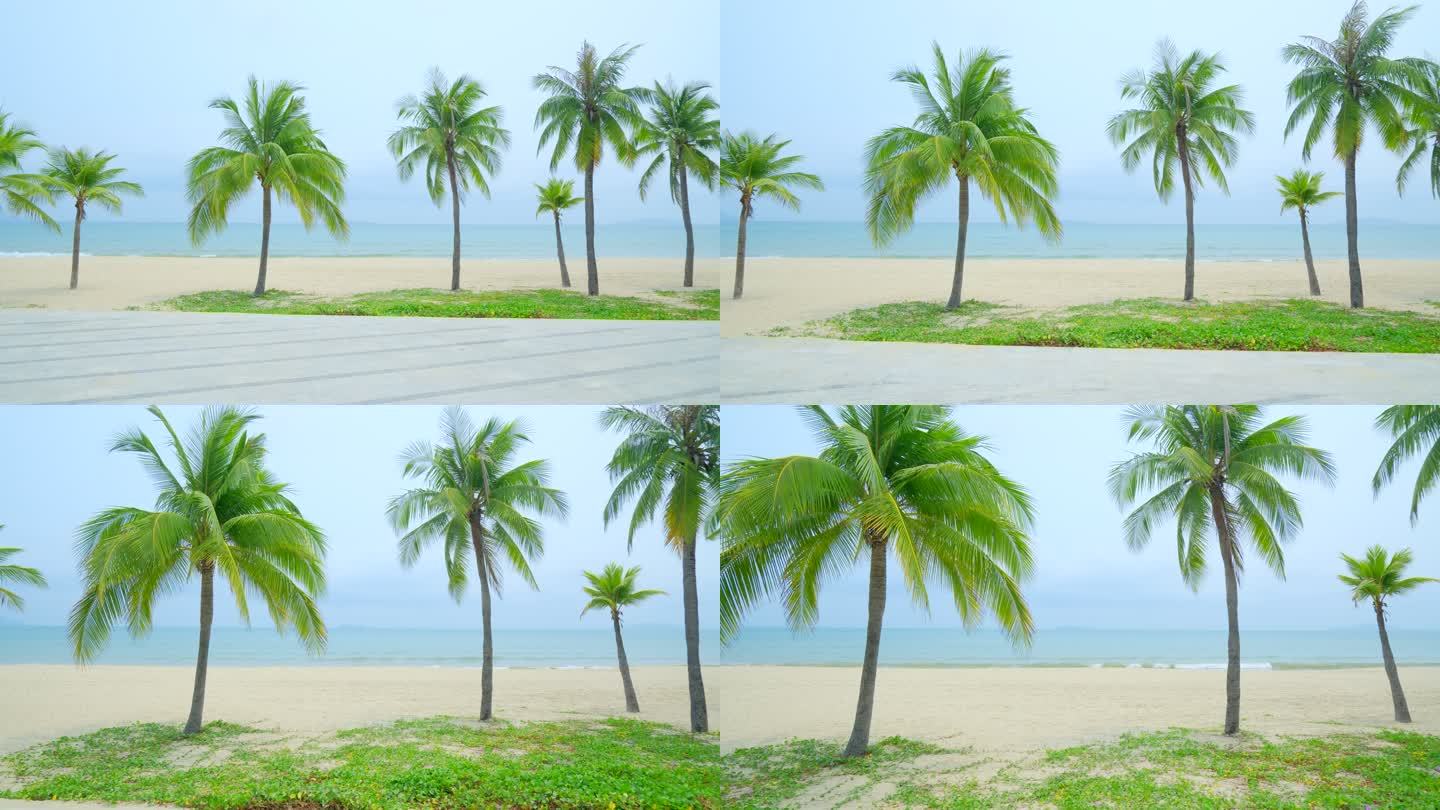 阴天海边椰树沙滩 海滨公园 海南三亚