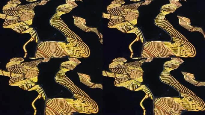 航拍海南天涯育才火龙果基地 生态农业园