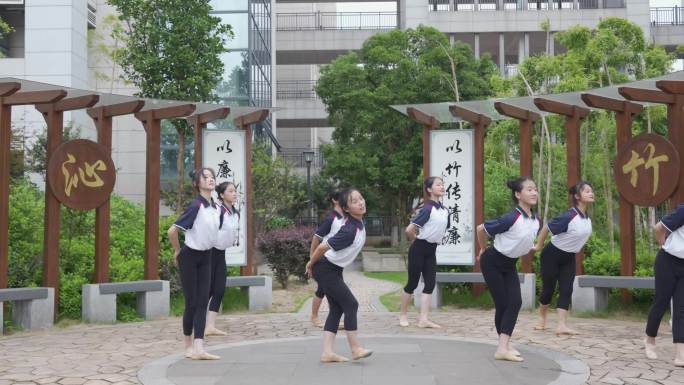 校园舞蹈学生训练