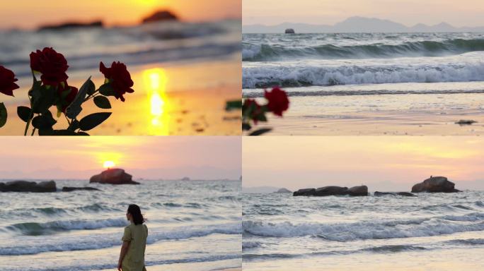 4K实拍海边落日浪漫玫瑰花