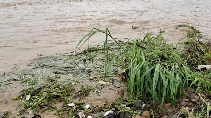 台风暴雨河南暴雨汛情洪水山洪暴雨水灾水患