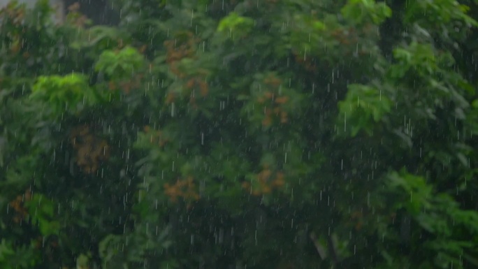 下雨天雨点雨滴纷纷小雨