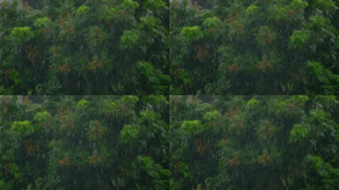 下雨天雨点雨滴纷纷小雨