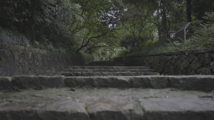 灰度径山古道