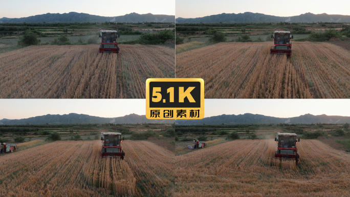 5K-联合收割机收麦子、小麦丰收