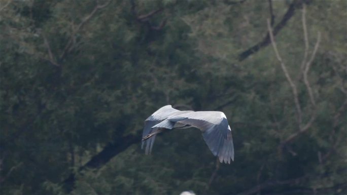 湖泊