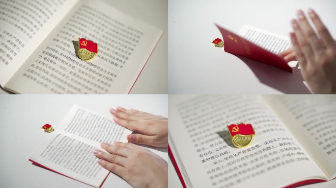 党章党徽党员学习中国共产党章程素材