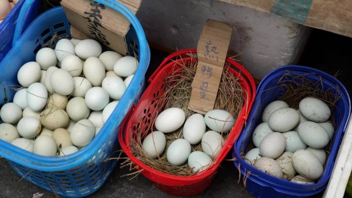 农贸菜市场土鸡蛋鸭蛋