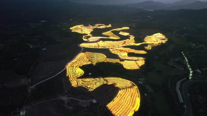 航拍海南天涯育才火龙果基地 生态农业园