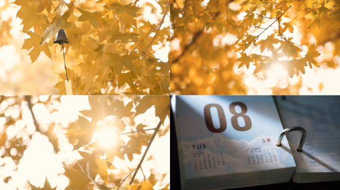 立秋 秋天 秋分 唯美空镜