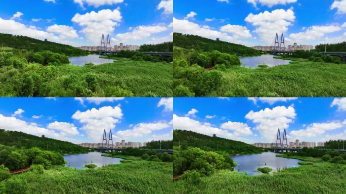 青岛丹山大桥2023夏天最新4k航拍
