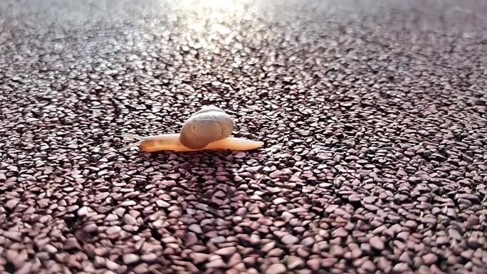 赛道上奔跑的蜗牛创意寓意片头片尾