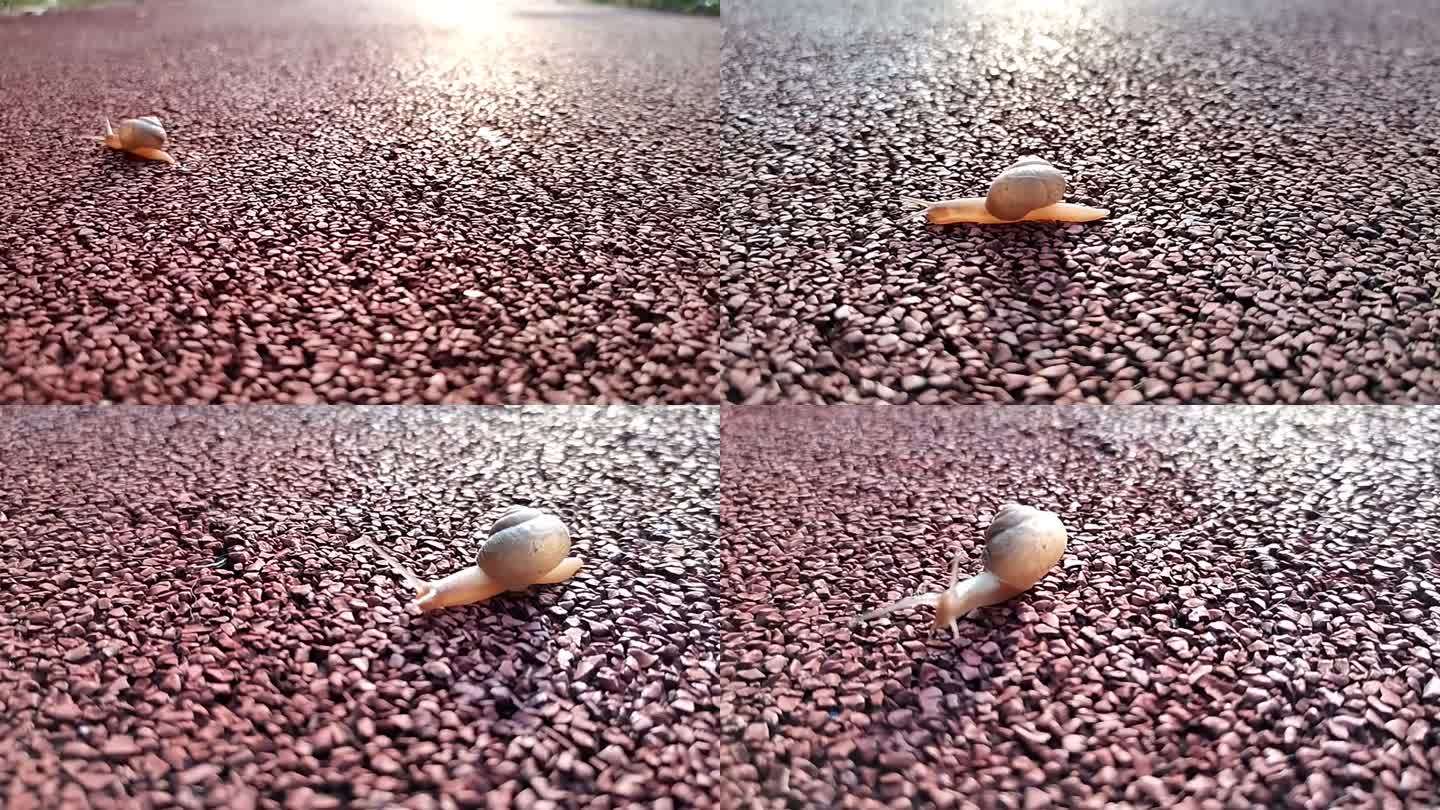 赛道上奔跑的蜗牛创意寓意片头片尾