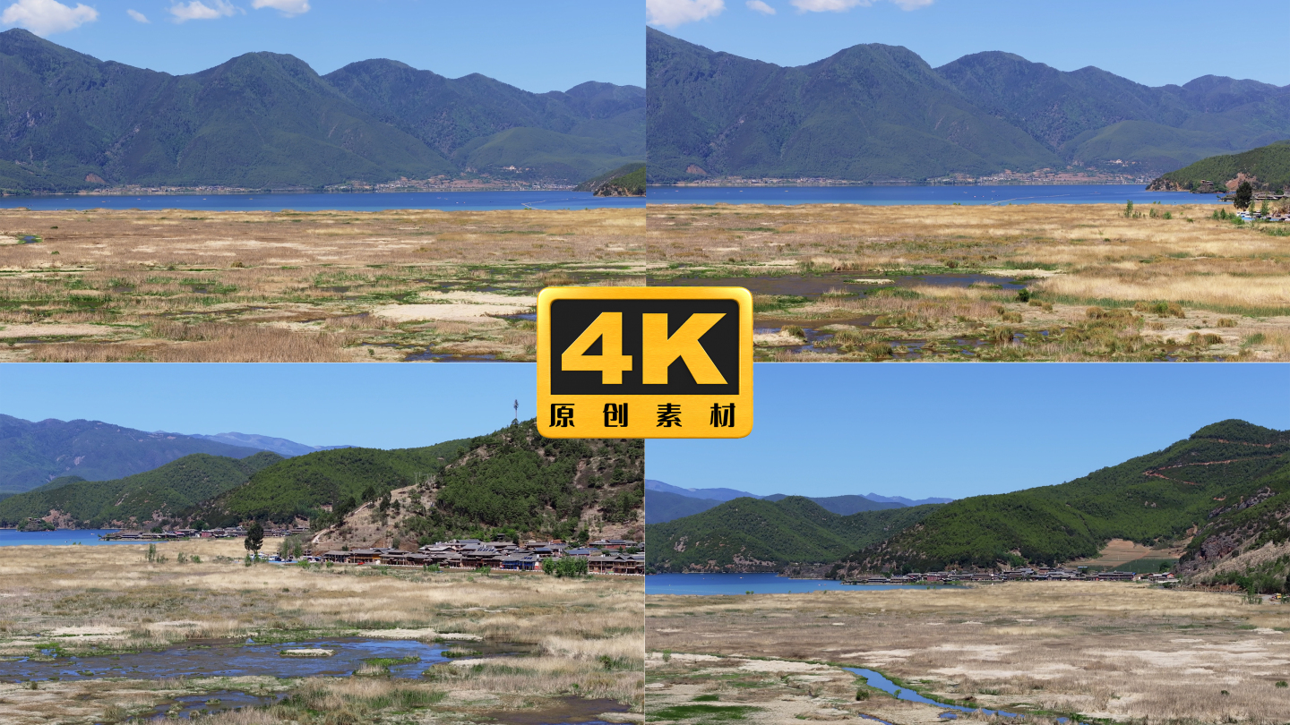 4K-云南丽江泸沽湖草海风光，金黄色草海