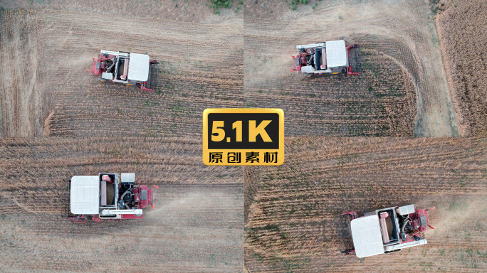 5K-联合收割机收麦子、小麦丰收