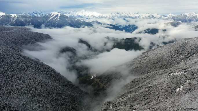 川西高原雪景