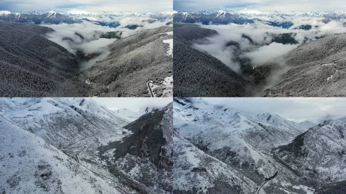 川西高原雪景