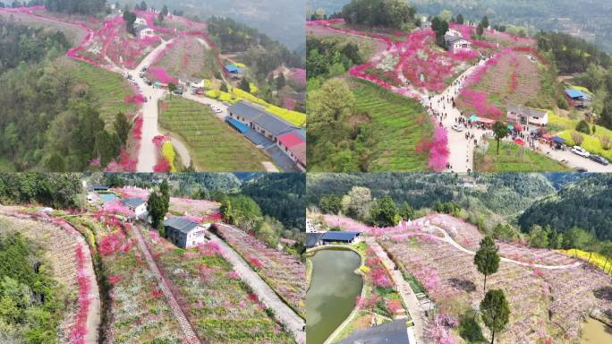 中国桃花之都苍溪县黄猫垭桃花岛