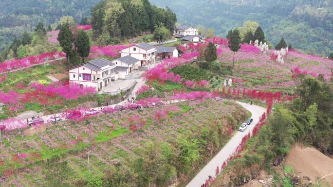 广元苍溪县黄猫垭桃花岛