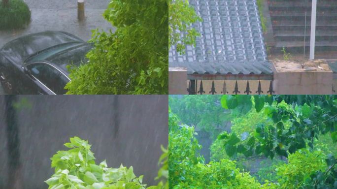 城市下暴雨下雨天雨水雨滴植物树叶子树木雨