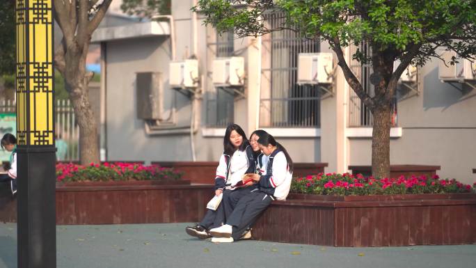 学生 校园 学生 生活 看书 聊天 散步