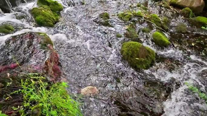 丽江玉水寨 溪流 泉水 山溪