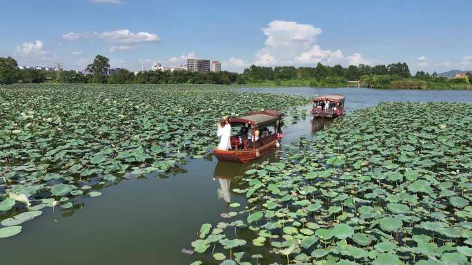 航拍江门古劳水乡旅游区