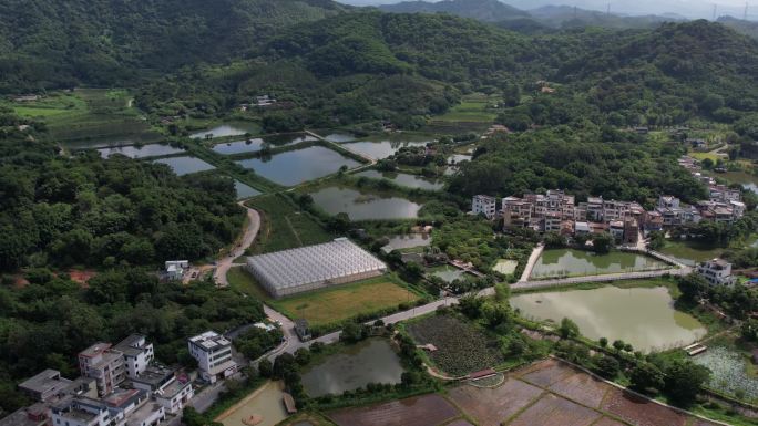 广州黄埔迳下村农业农田乡村振兴新农村航拍