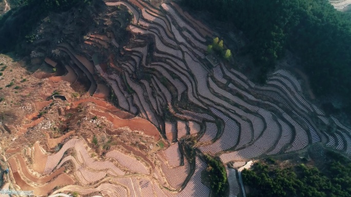 太行山地膜梯田