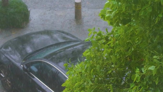 城市下暴雨下雨天雨水雨滴植物树叶子树木雨