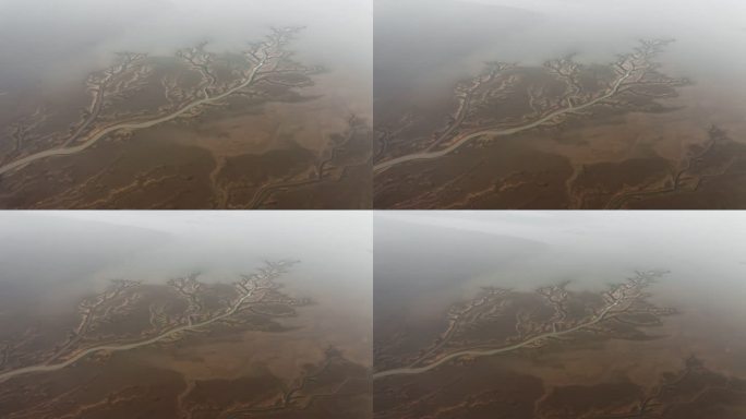 鄱阳湖枯水季水底纹理