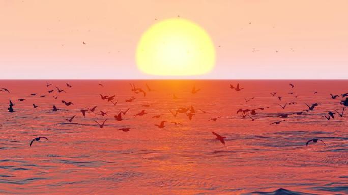 夕阳下海鸥群在海平面自由飞翔