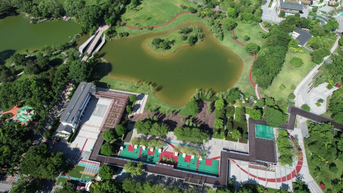 【正版素材】深圳福田香蜜湖公园